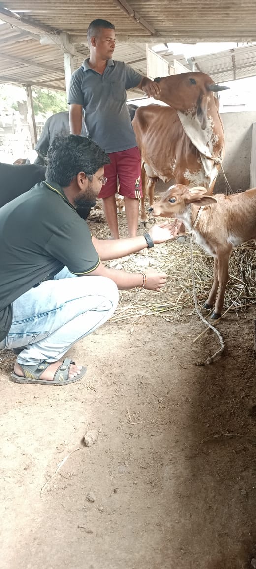 birthday celebration